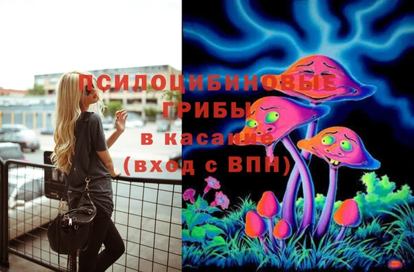 марки lsd Мегион