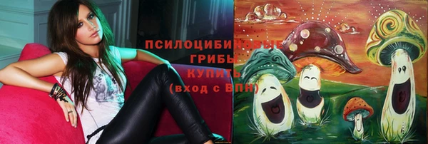 хмурый Медвежьегорск