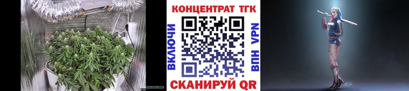закладки  Жуков  ТГК концентрат 