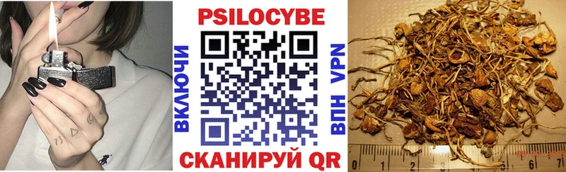 Псилоцибиновые грибы ЛСД  где купить наркоту  Жуков 